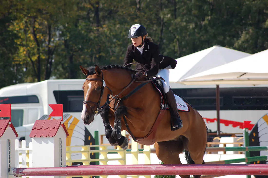 Ошибки, которые стали трамплином: как провалы поднимают нас выше